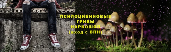 прущий лед Богородск