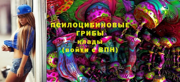мдпв Майский