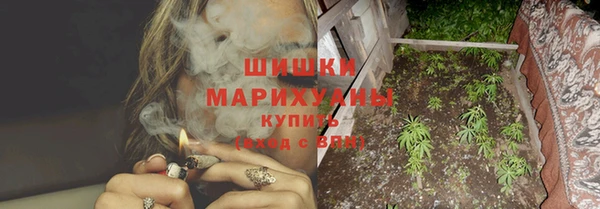 мдпв Майский