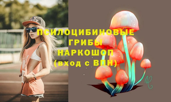 мдпв Майский