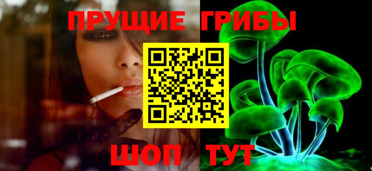 Малоярославец  Псилоцибиновые грибы GOLDEN TEACHER  Вход с VPN 