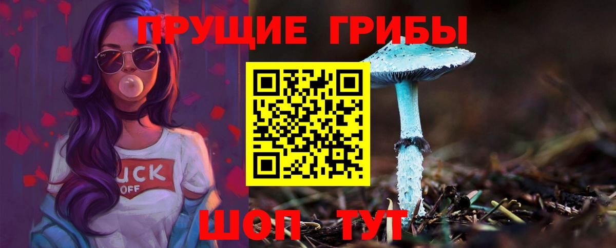 Галлюциногенные грибы Psilocybine cubensis  Псилоцибиновые грибы MAGIC MUSHROOMS  цены   Малоярославец 